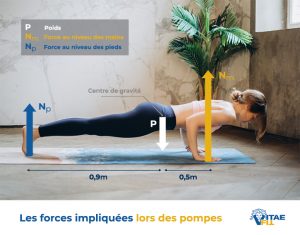 Faire Des Pompes : Le Guide Ultime Pour Vos Pectoraux